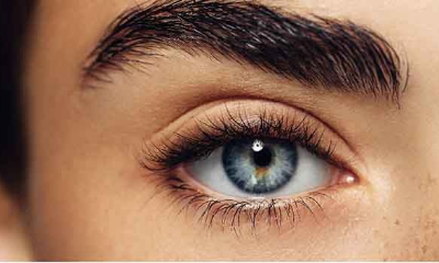 Eyebrow